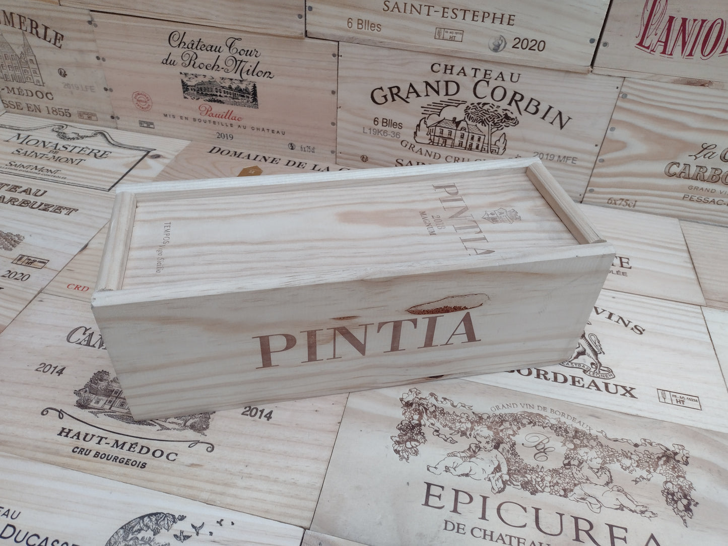 Vega Sicilia, Pintia