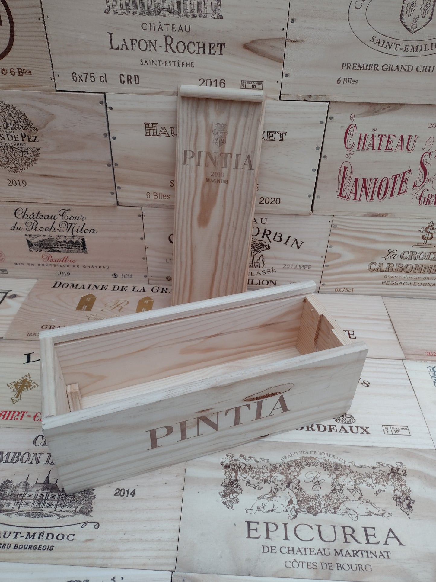Vega Sicilia, Pintia