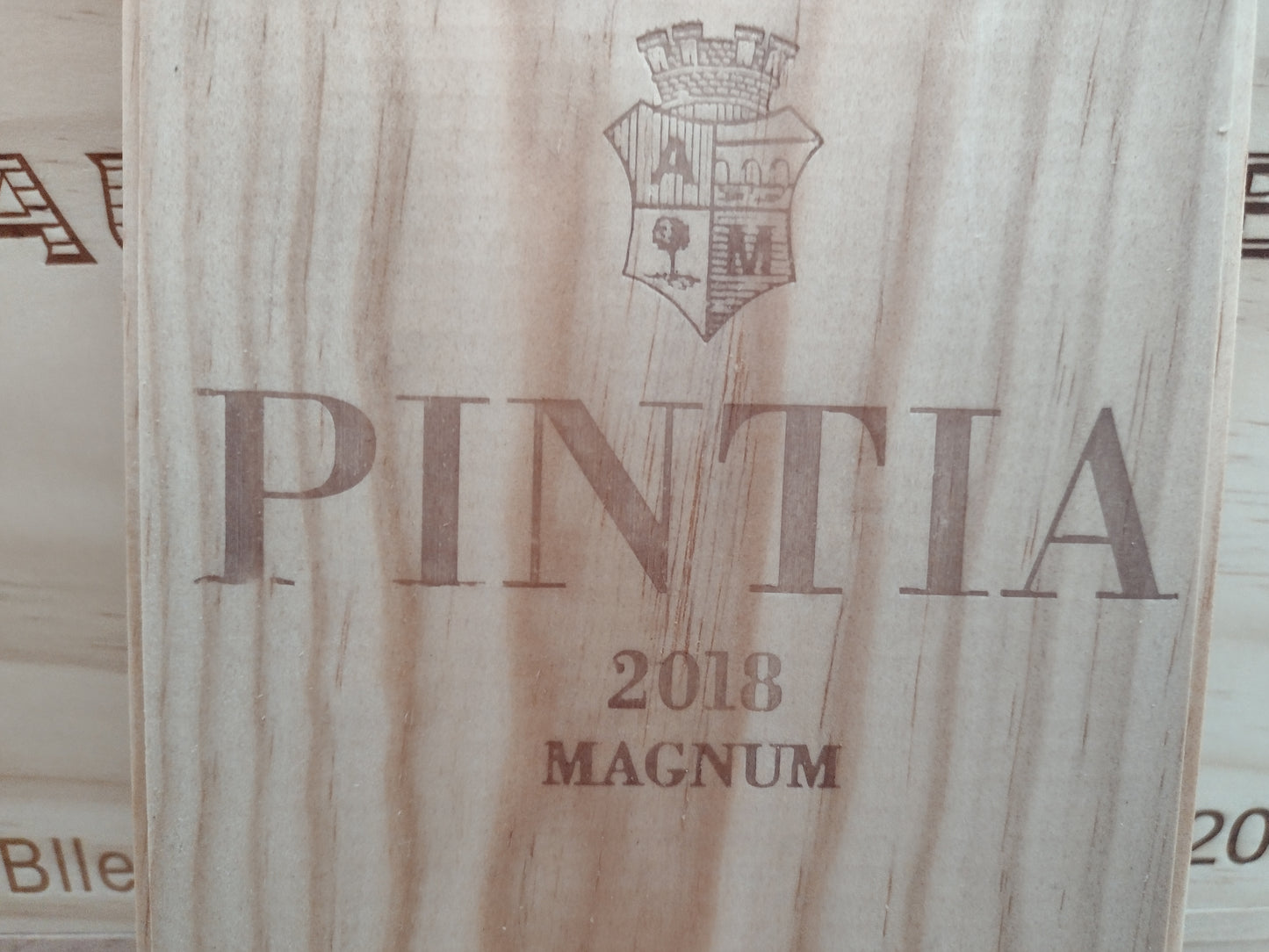 Vega Sicilia, Pintia