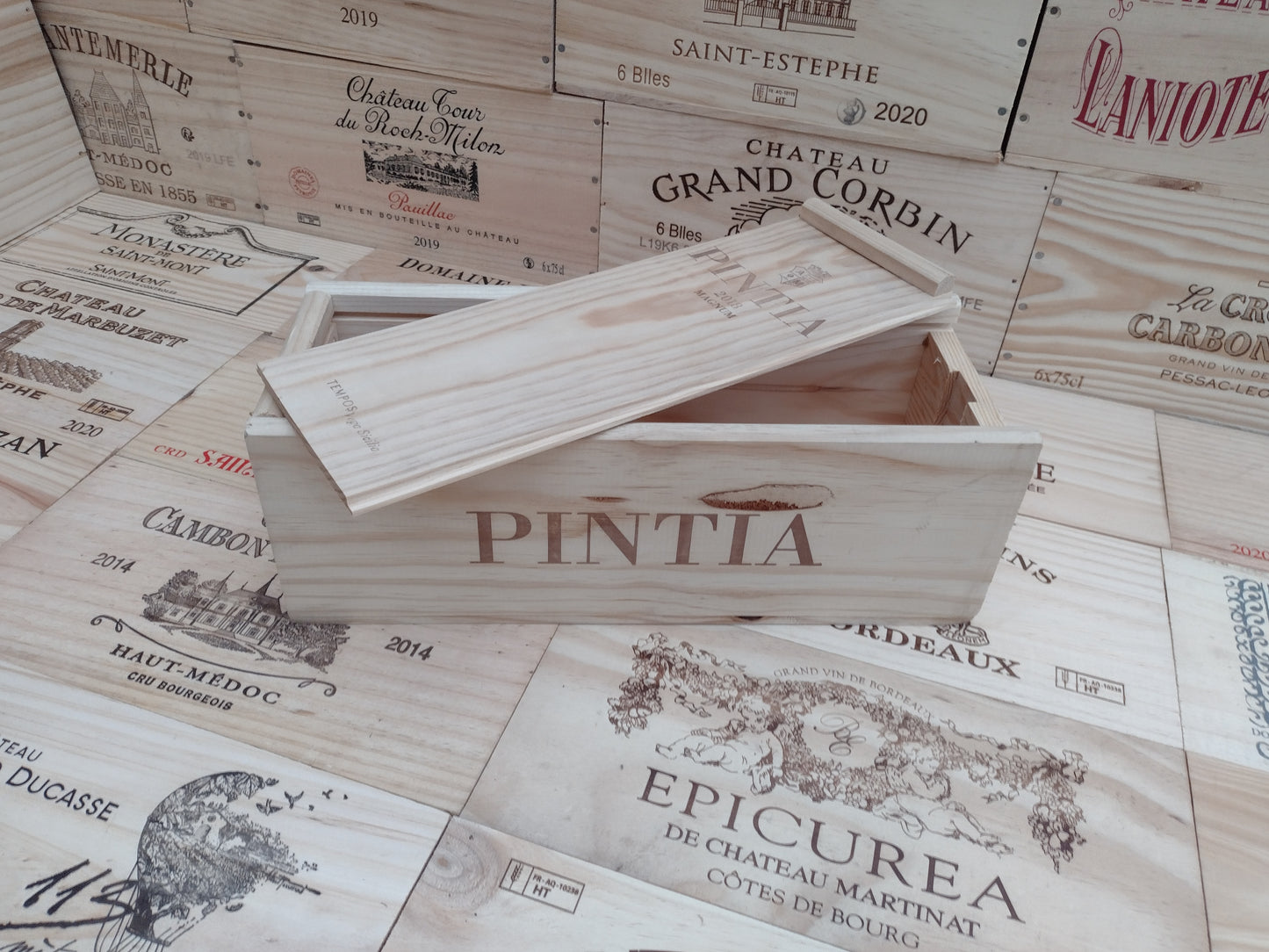 Vega Sicilia, Pintia