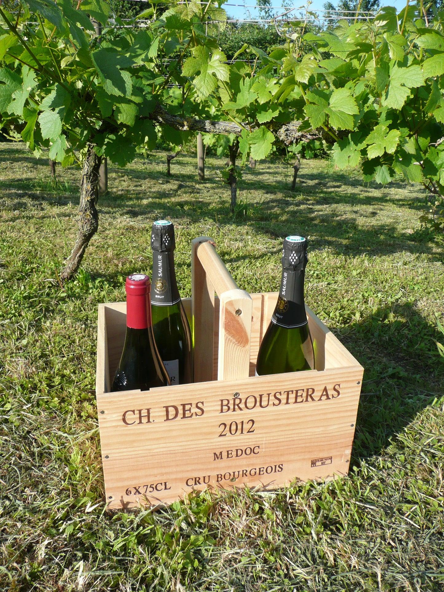 Wine Box Trugs