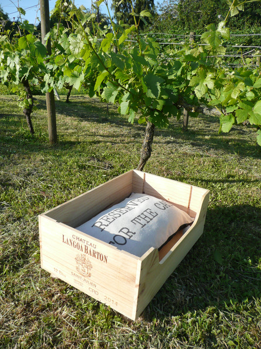 Wine Box Pet Bed